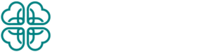 Enlace